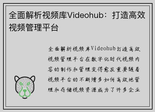 全面解析视频库Videohub:打造高效视频管理平台